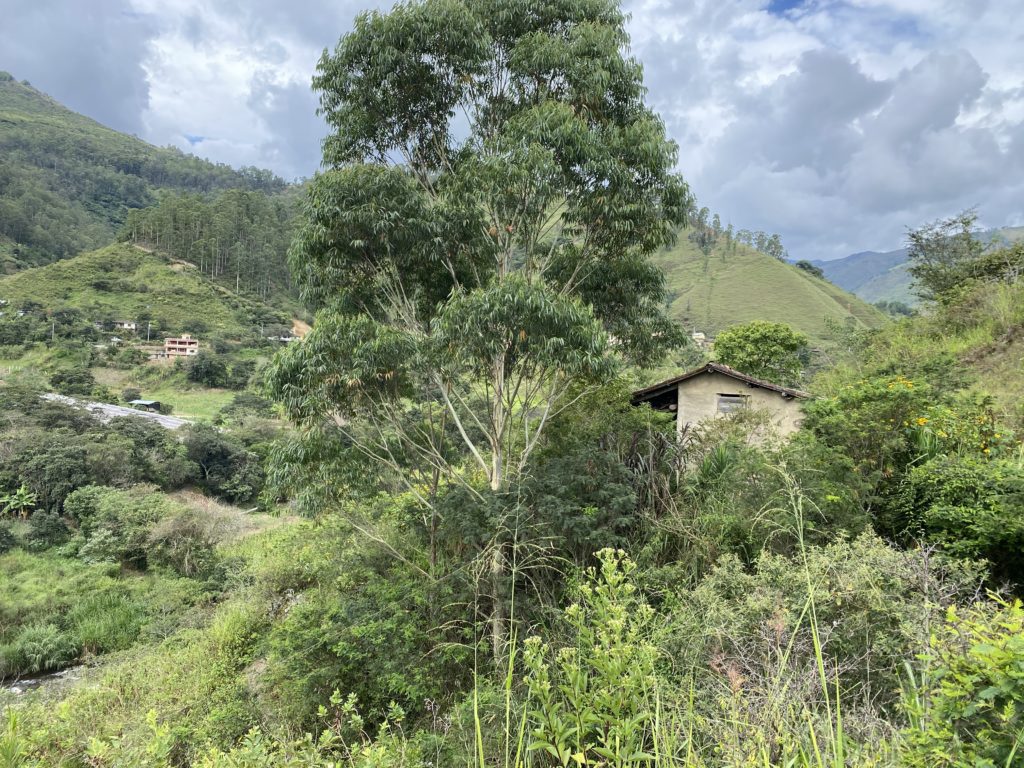 Riverside land located only 7-10 minutes from Vilcabamba's center