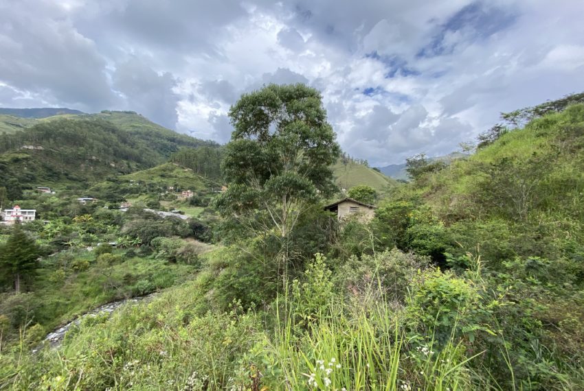 amazing views of the Vilcabamba valley from this 1 House 1 Hectare Riverside property