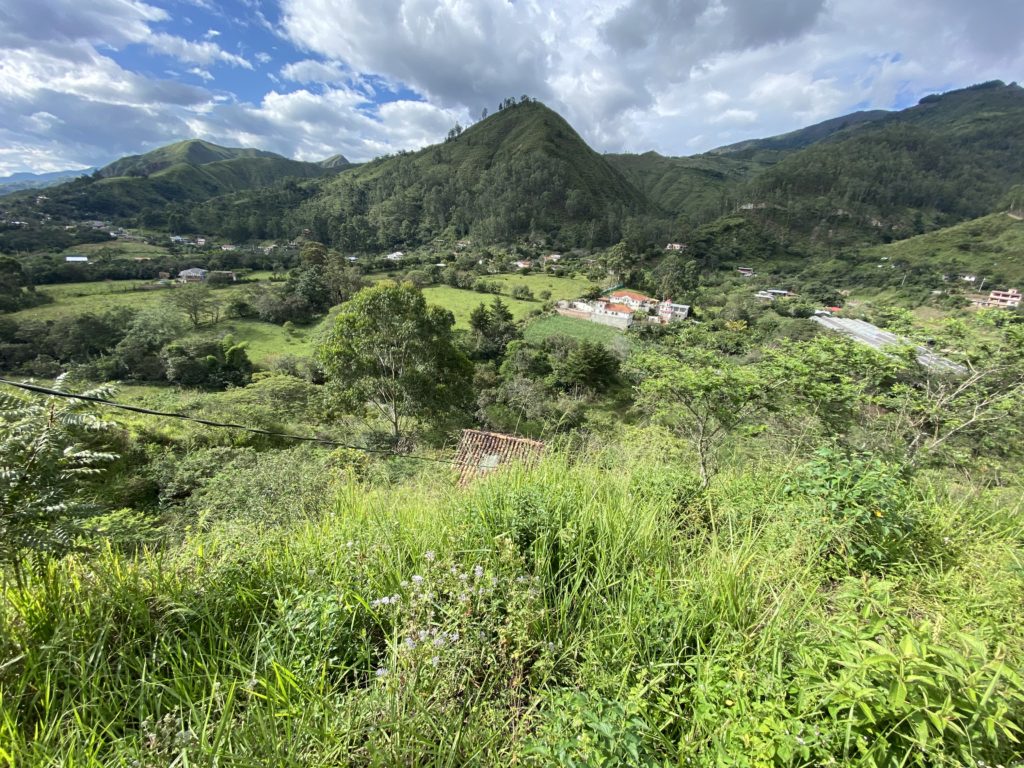 Mountain view from this riverside land located only 7-10 minutes from Vilcabamba's center