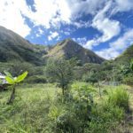 Mountain to Mountain 22 Hectares land minutes from Vilcabamba