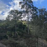 Incredible views of the Sacapo river valley from this large gently sloping property close to Vilcabamba.