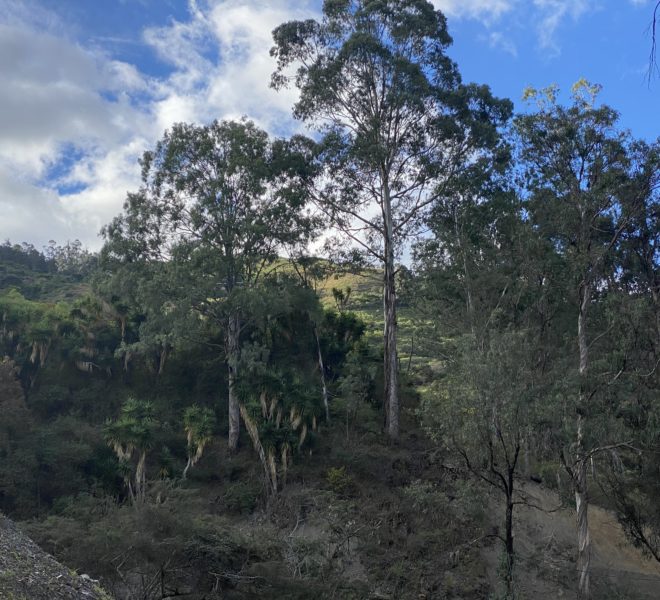 Incredible views of the Sacapo river valley from this large gently sloping property close to Vilcabamba.