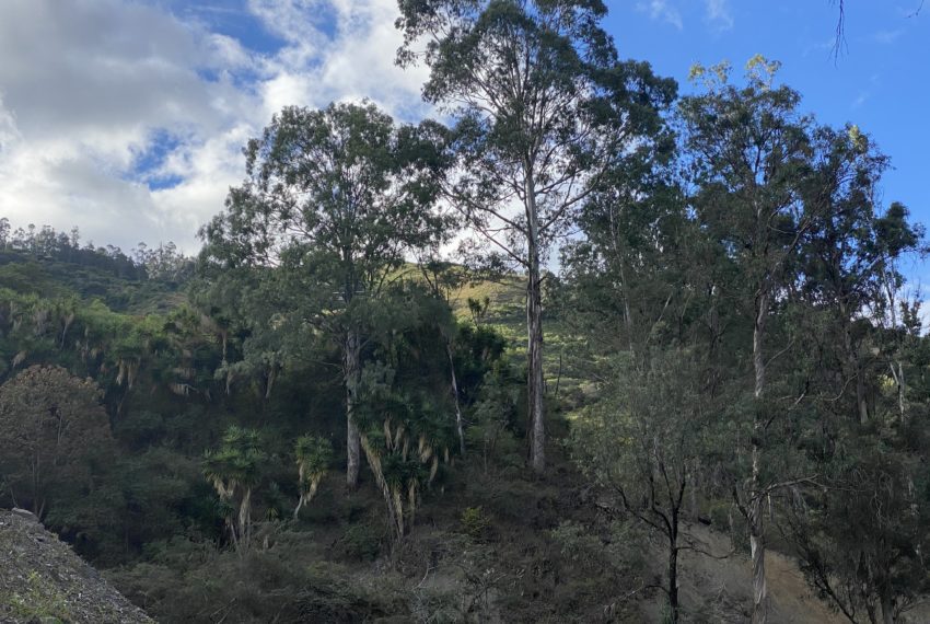 Incredible views of the Sacapo river valley from this large gently sloping property close to Vilcabamba.