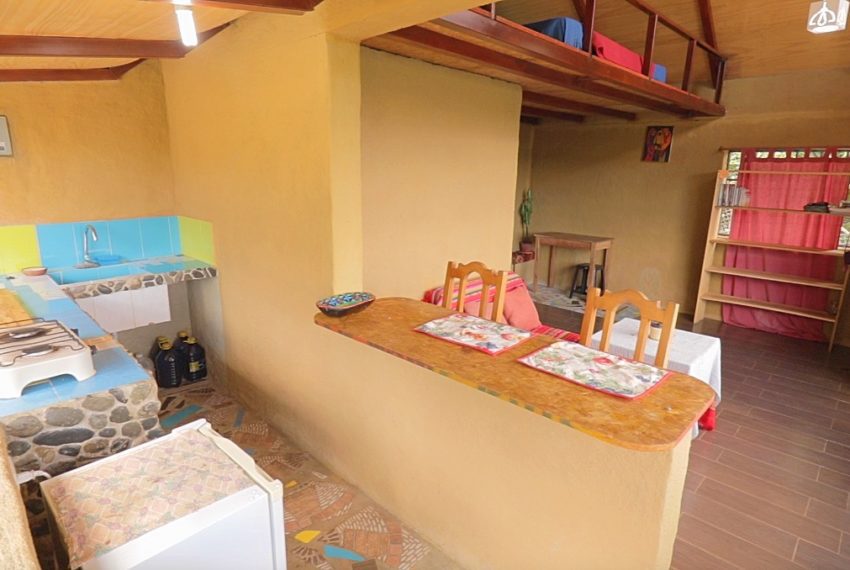 loft living and kitchen