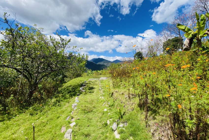 02C83143-6867-4386-BD0E-7156871D93C8