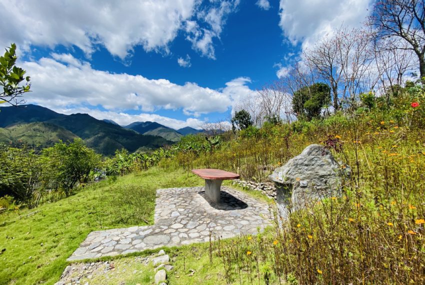 02EC822E-5BE3-431A-A7E1-9461C667D2DB