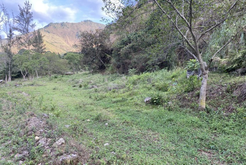 1D62895E-7509-434F-A771-60DA50AEAC25