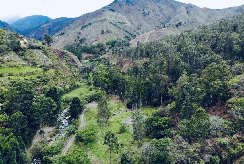 42AC4402-340C-4EF7-9782-FAC8C7BFEA41