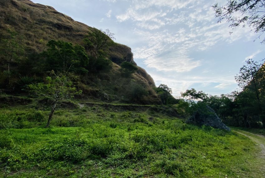 50B65772-4DC6-40D2-9F9F-A3729B1044D3