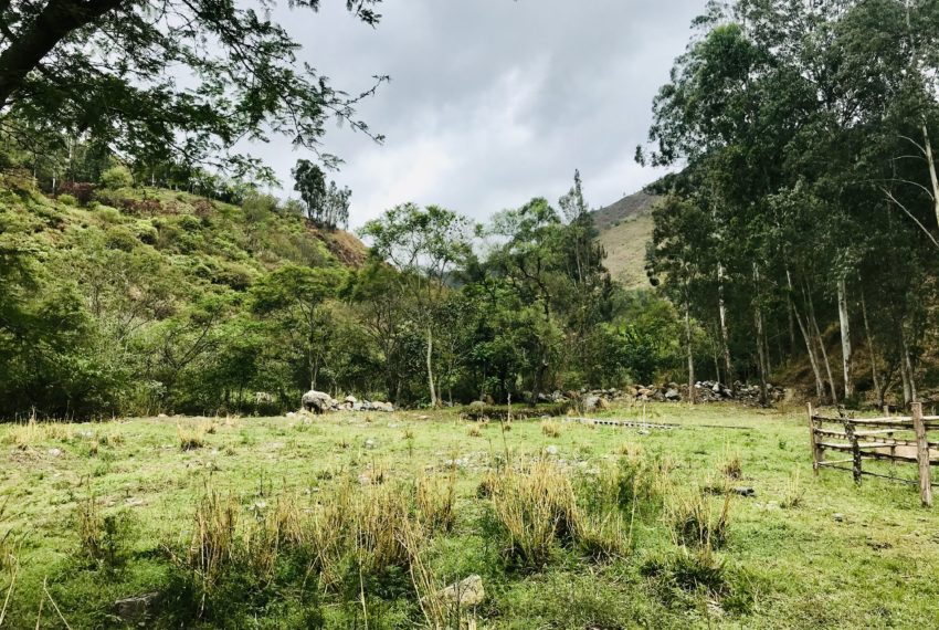 5CC83406-E511-4CDD-9C49-43BDBF1589E1