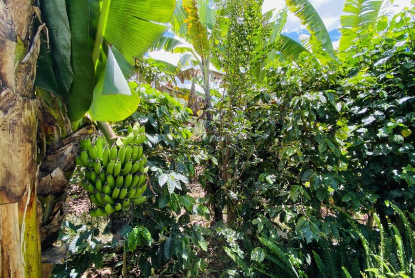 5D532AE4-6E82-4632-B1F2-C976F074912E