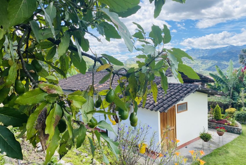 6AF78C5E-429E-4350-B94D-5AFE99B4F624