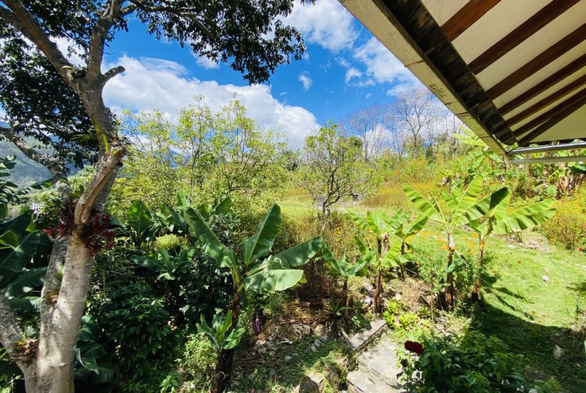 6C2BFAD4-8A6B-4270-93CC-DC59B2C44D32