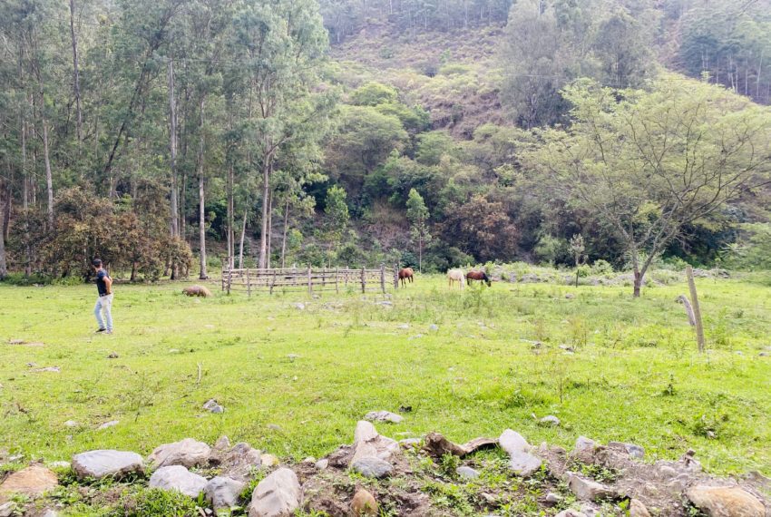 84C7E1E4-4BD4-4984-8534-D63AEBC57DE7