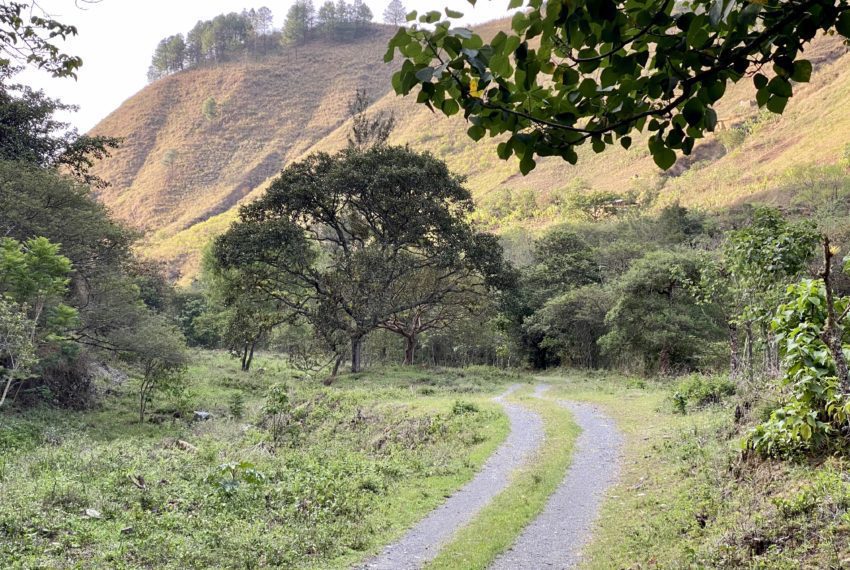 84EFA3CD-C4B4-49BA-8958-EE2C280BF1CC