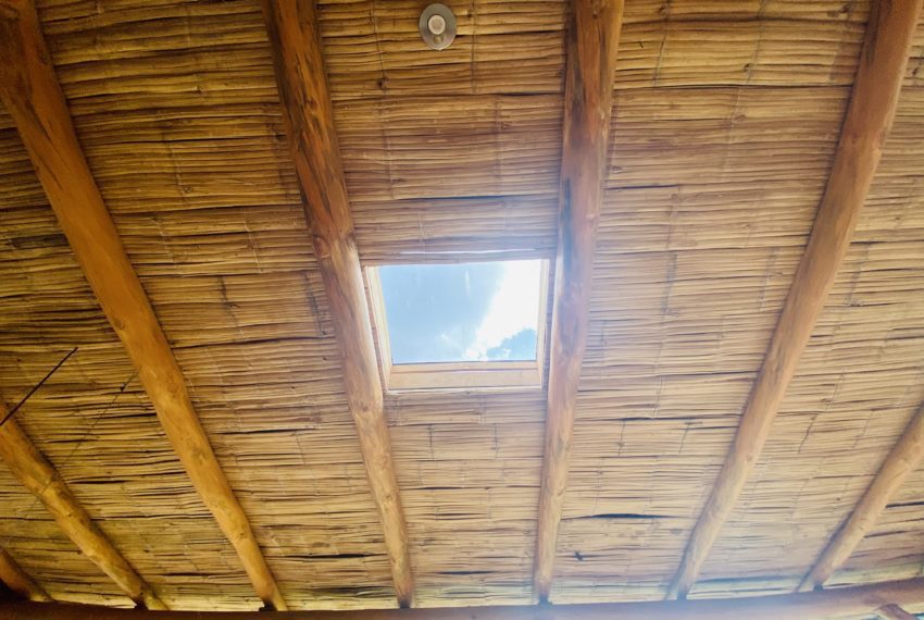 8616AEA1-6076-4A0A-9B2C-79388DCA4FAF