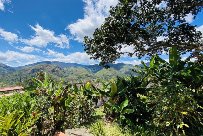 88F39AEA-AA6B-48FE-9748-03E062DD091A