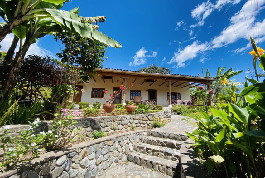 8E0E8050-1C54-4EA3-B887-BDCFB994C906