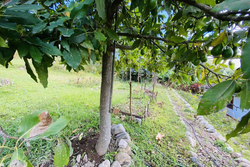 8EF2E945-A32F-4420-A88A-7603AFB7262D