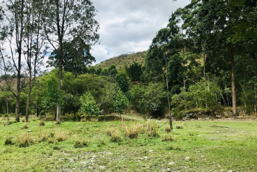 916E66D5-8BA3-44F4-966A-0F725EF8799D