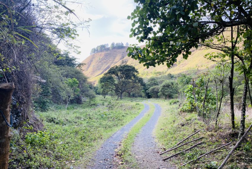 97ED98B7-C6D0-4BDF-8452-3FBCB662A786