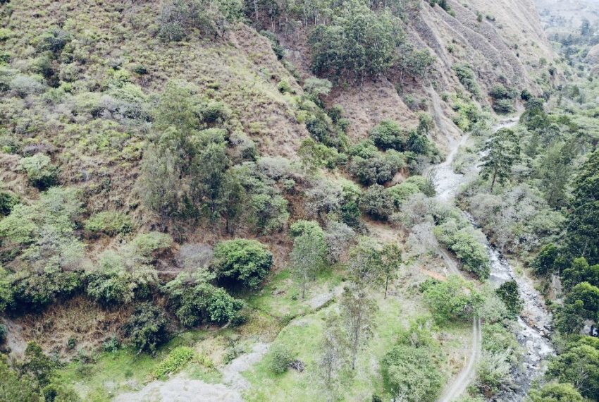 9D533F84-3420-4BE5-9FC5-9BB60F117B73