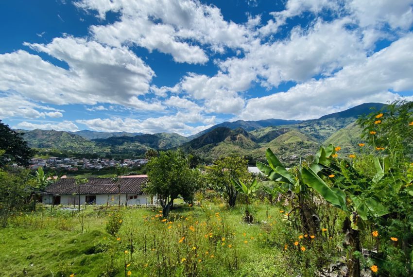 A752B350-9F2C-408A-943A-6FC4E3AFD576