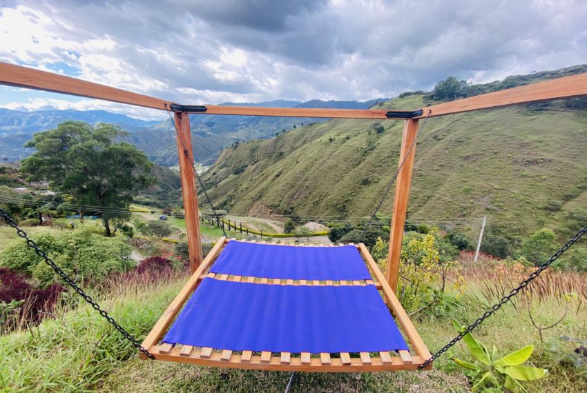 AF80DF06-871D-4B69-B6EF-0DD7569AE169