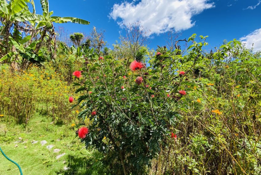 B77EF53A-EE0B-4982-9BD6-08BEFC6C1B7D