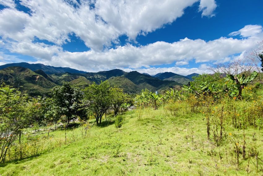 B92A10C0-19BE-421A-87AE-65804F7EACA2