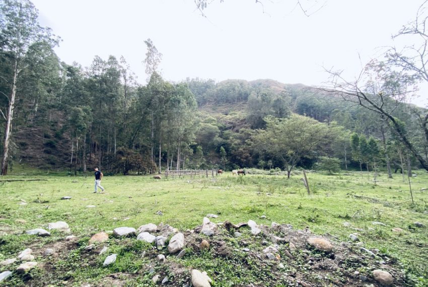 C919577F-1A00-41E0-BAF8-D8026D18F499