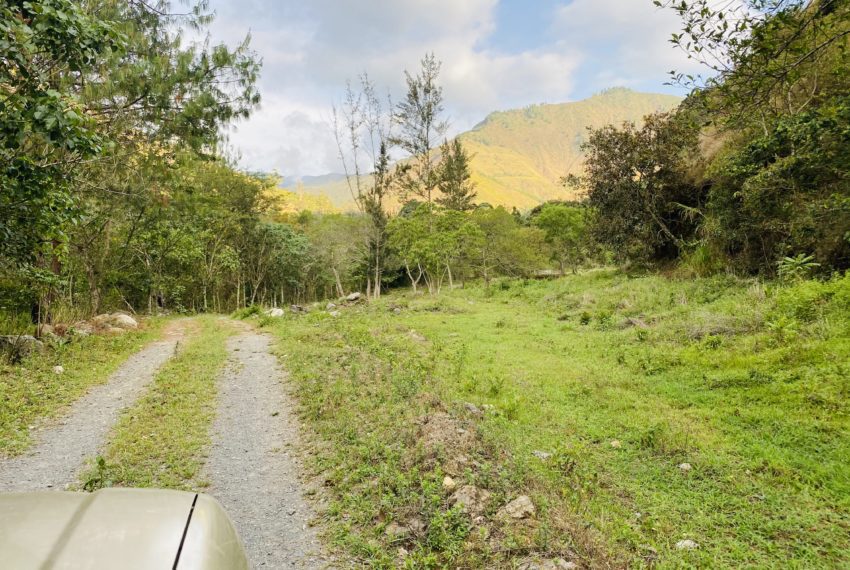 D33C07C5-5960-475C-B8C7-2B20FB46354A