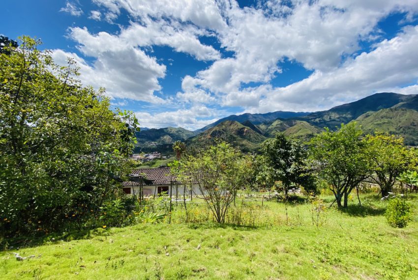 DCB4FCD4-08BE-46E1-A980-2ADFE15605E7