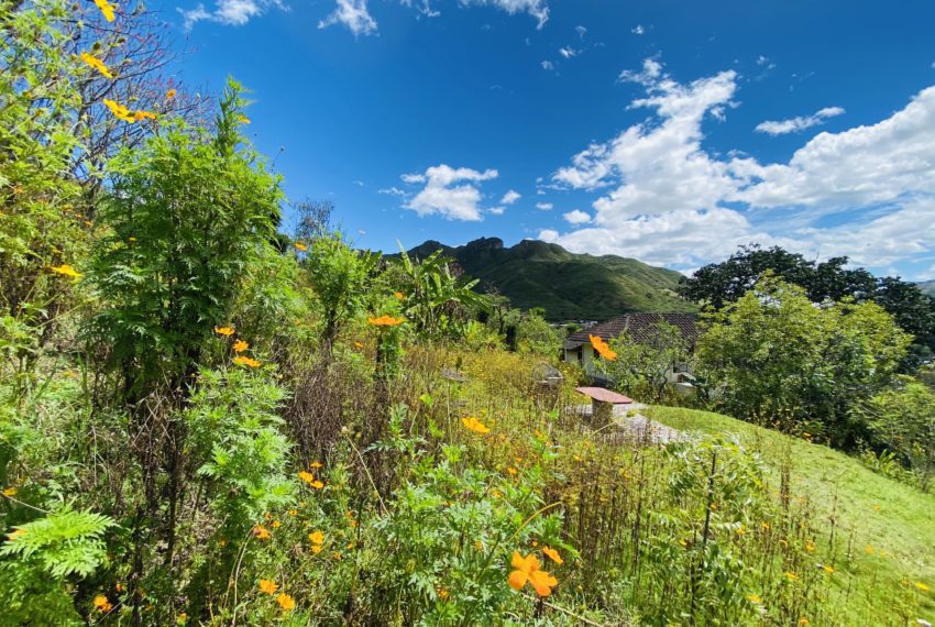 E3D4FFD1-6950-4118-914B-4E08E30F6F16