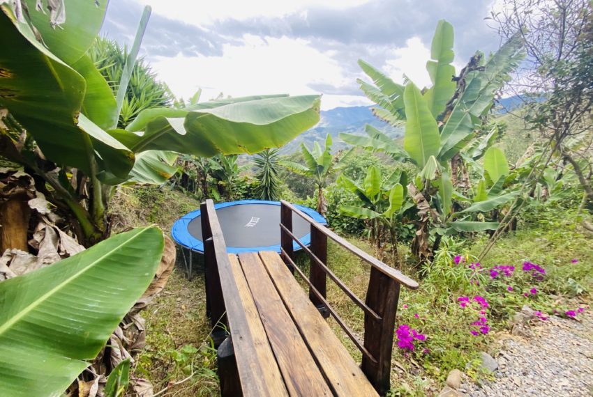 EF72359E-9789-41D6-8E05-D5AEA7B96414