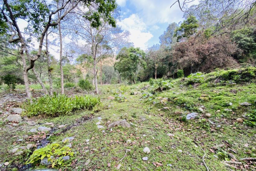 F6841ED9-80C8-4E06-8A15-83169EFD03EF