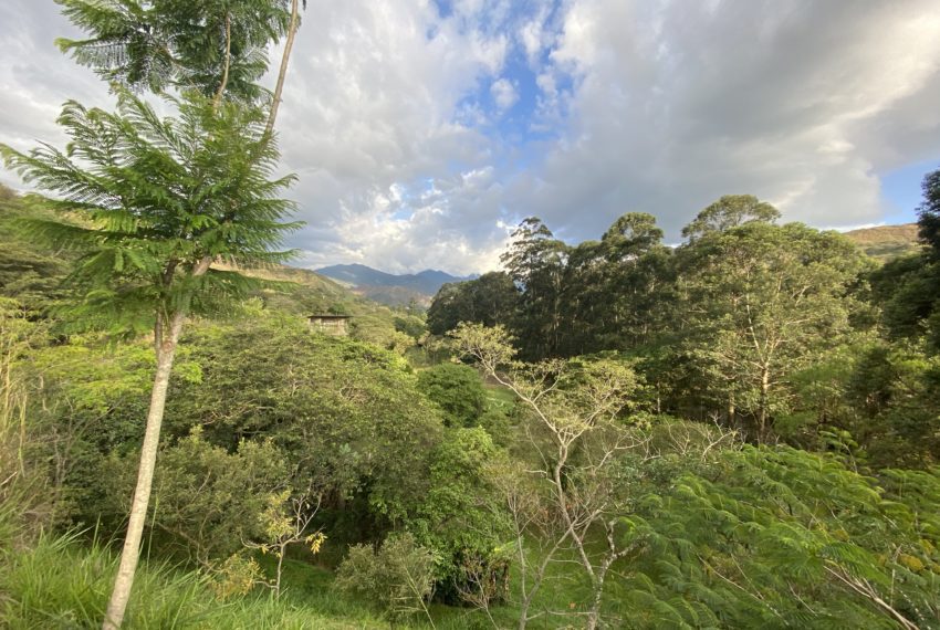 B775CC84-F793-4215-AA7A-C94723083BDF