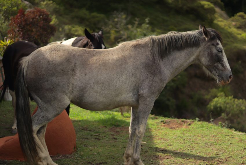 0679DF40-F52D-421F-A632-A6FC5CECA094