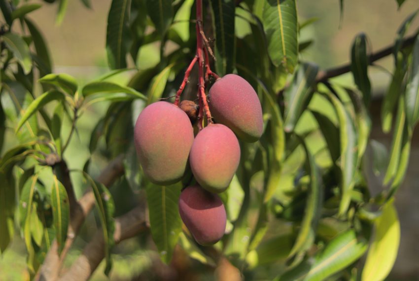 18318032-AC1E-46C7-847C-9DDE0A18E004