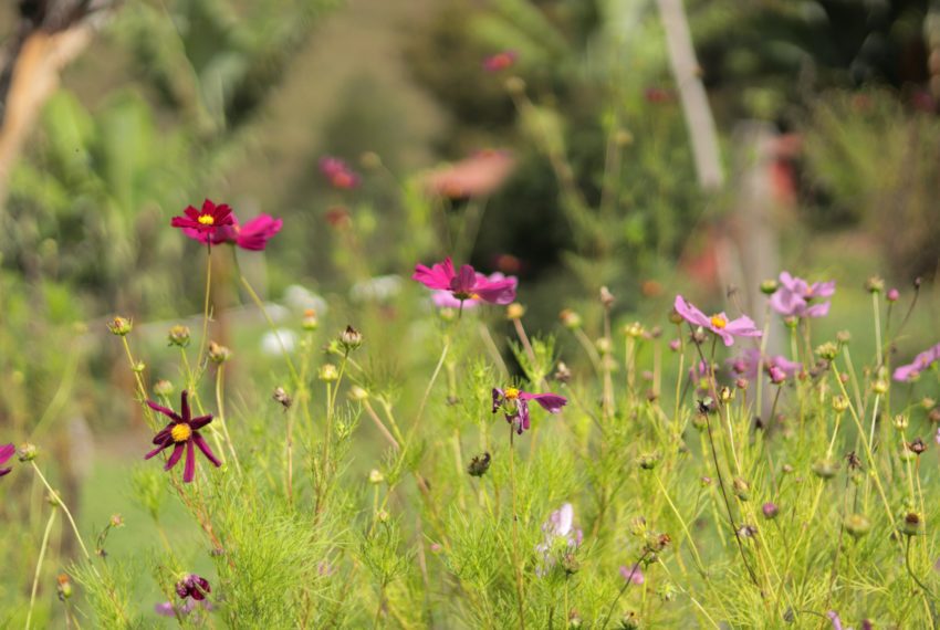 4FFE7300-F02B-47D1-B455-B02446CABFBC