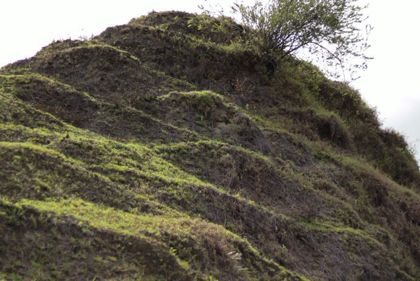 5EA1F76C-9F71-46AC-AD71-6C8CB8AAB0F5