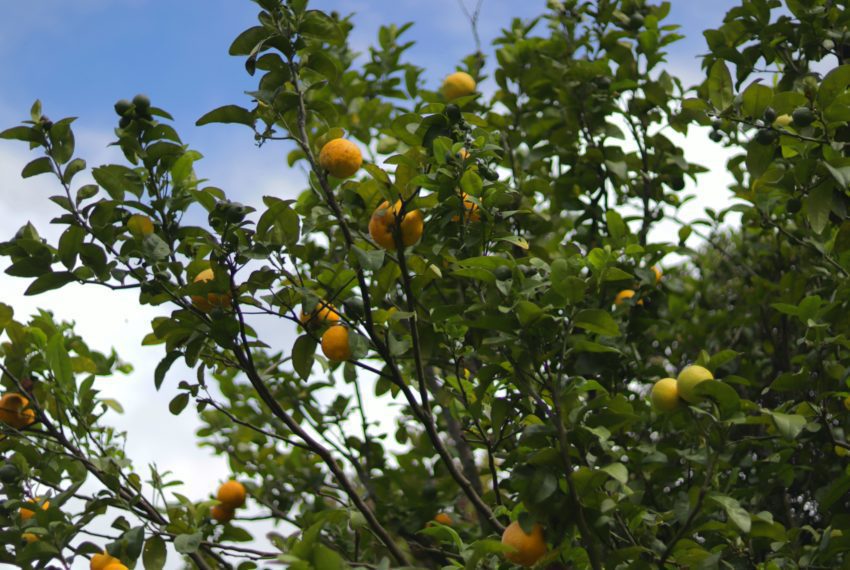 6CD43C02-88D1-4F7C-8C4C-F58D77FD6AA4