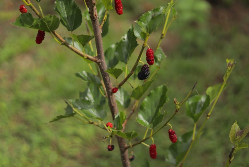 98A1DC54-C0BD-42B3-8B1E-6FCFAAD03026