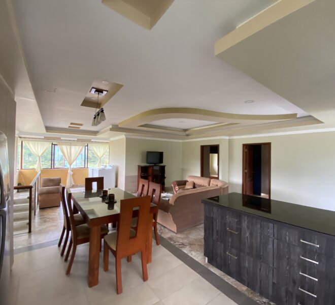 Furnished 2-bedroom penthouse in Vilcabamba with jacuzzi bathtub and Andes views